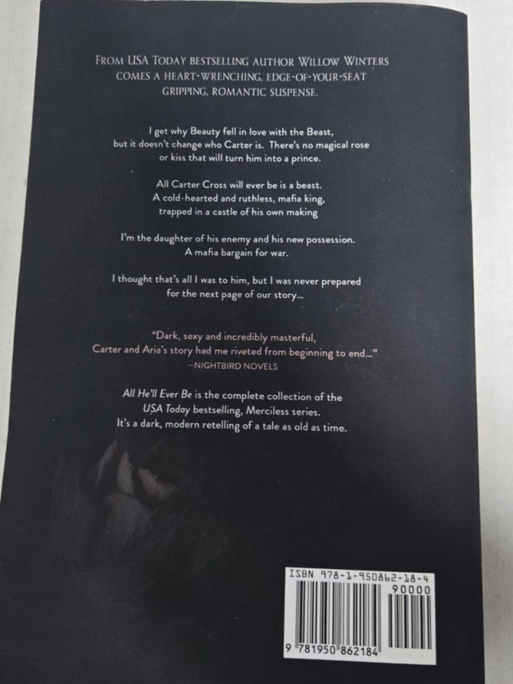 All He'll Ever Be by Willow Winters Paperback - Picture 3 of 4
